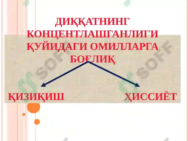 Maktabgacha yosh davri 7
