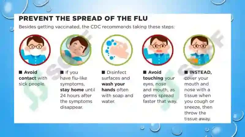 Swine and avian influenza and their current problems 7