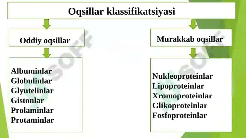 Oqsillar strukturasi, klassifikatsiyasi 7