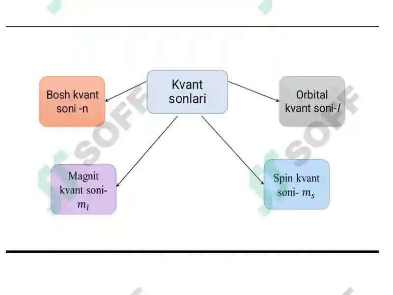Atomtuzilishi va kvant sonlar 7