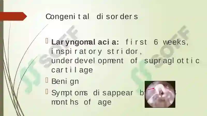 Diseases of the respiratory tract 7