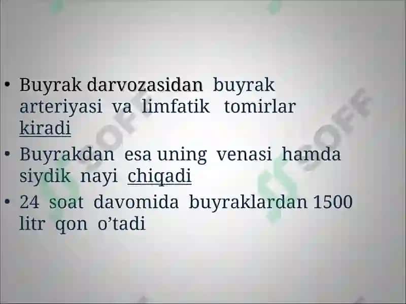 Buyraklar 7