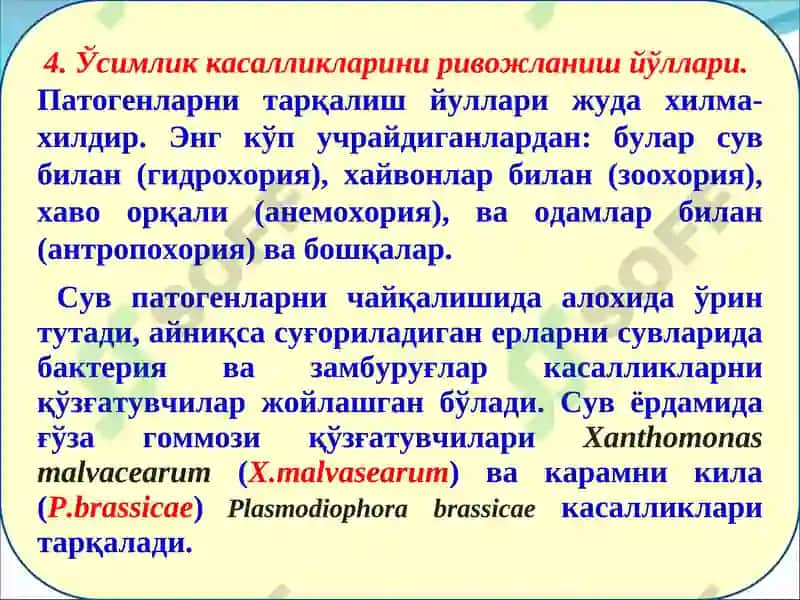 ЎСИМЛИК КАСАЛЛИКЛАРИНИ ТАРҚАЛИШИ ВА РИВОЖЛАНИШИ 7