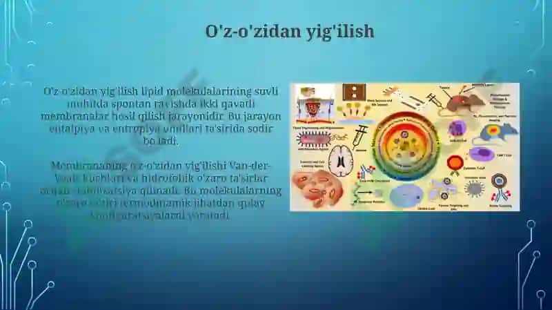 Biologik Membranalar 7