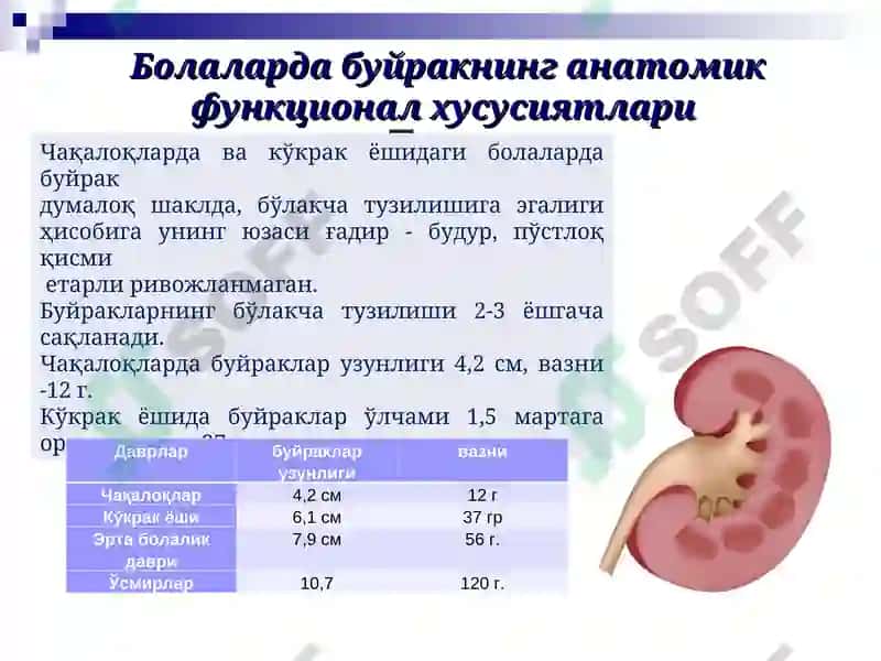 Болалар касалликлари пропедевтикаси 7