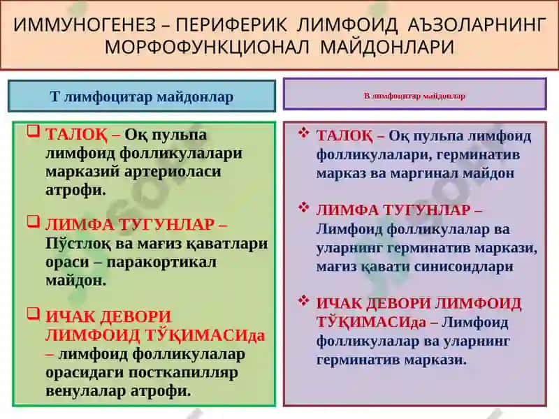 ИММУНОПАТОЛОГИК ЖАРАЁНЛАР 7