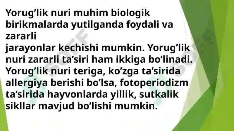 Fotobiologiya 7