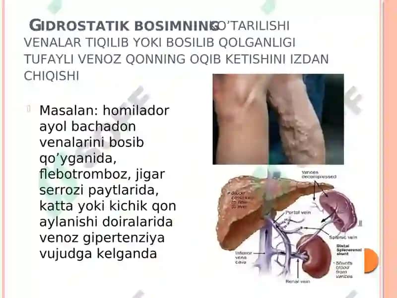 To’qima Suyuqligi Miqdorining O’zgarishi 7