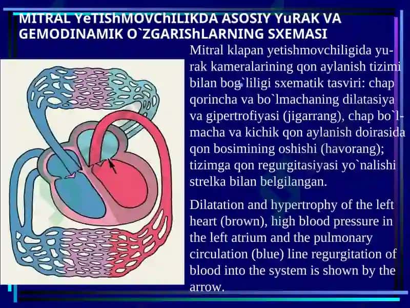 YURAK MITRALNUQSONLARI 7