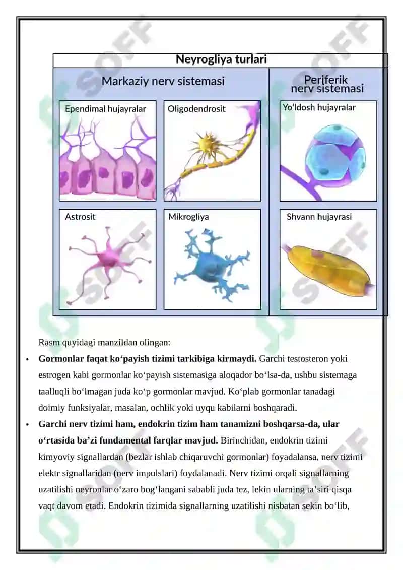 Organizmning nerv, endokrin-immun boshqariluvi 7