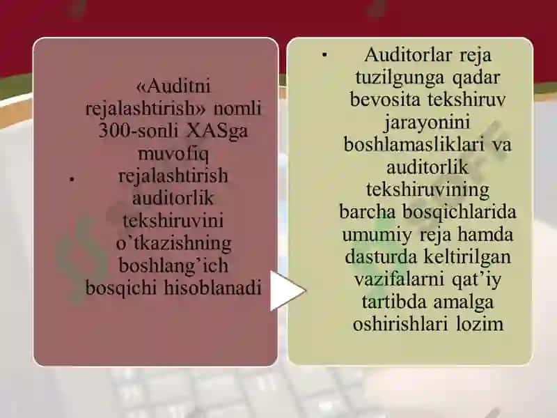 Auditorlik tekshiruvini rejalashtirish 7