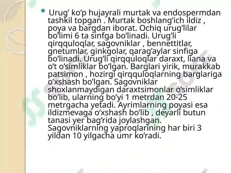 Qarag’aytoifa 7