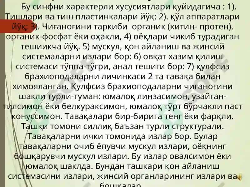 Брахиоподалар 7