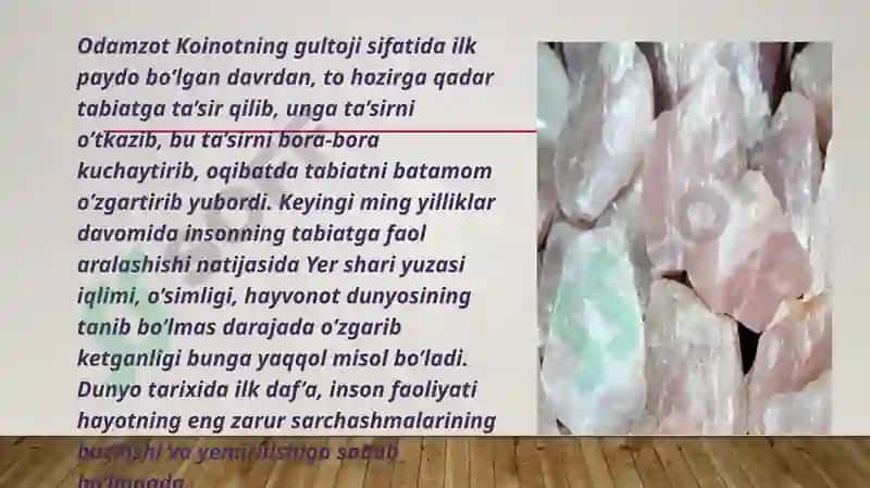 Mineral homashyoresurslarinimajmuasifoydalari 7