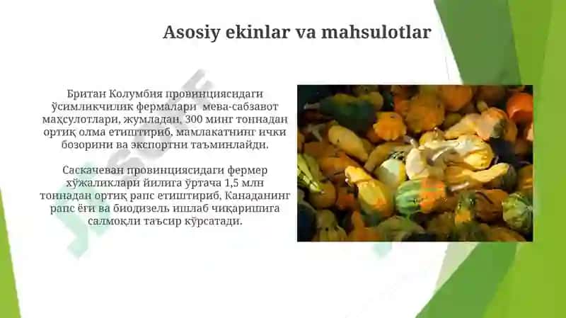 Kanada qishloq xo‘jaligi 7
