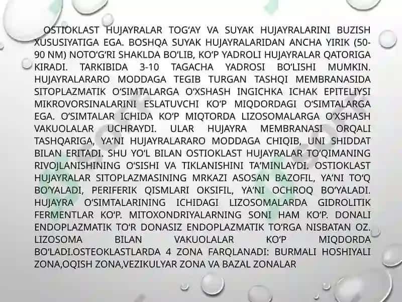 Suyakto’qimasining mineral tarkibi 7