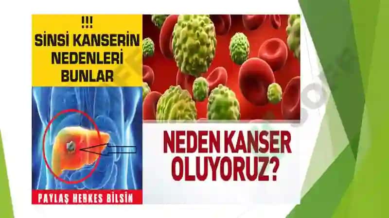 Kanserogen agentlar va ularning hujayralar bilan o’zaro ta’siri 7