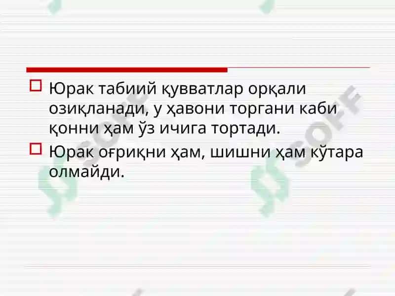 ЮРАК АНАТОМИЯСИ ВА НАБЗНИНГҲОСИЛМЕХАНИЗМИ 7