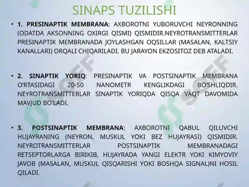 Sinapslar fiziologiyasi 7