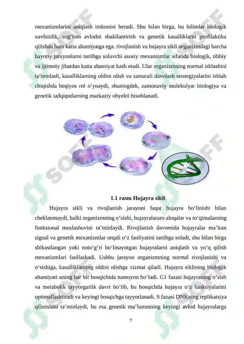 Hujayra Sikli va Genetik Nazorati 7