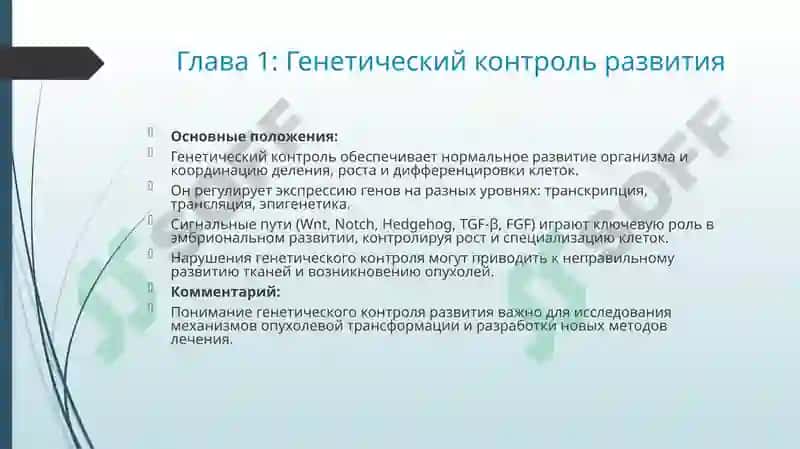 Генетический контроль развития 7