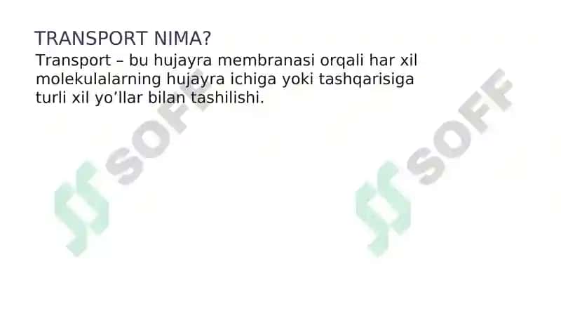 Hujayra membranasi 7