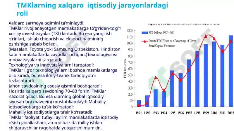 Transmilliy korporatsiyalar 7