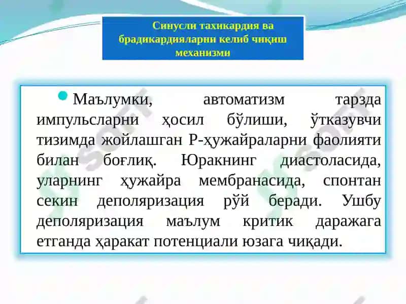 Yurak aritmiyalari 7