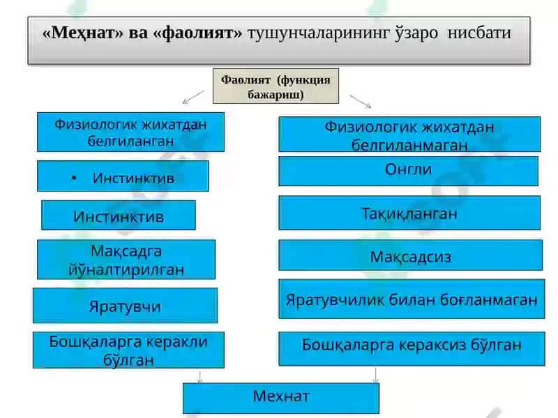 МЕҲНАТ ИҚТИСОДИЁТИ 7