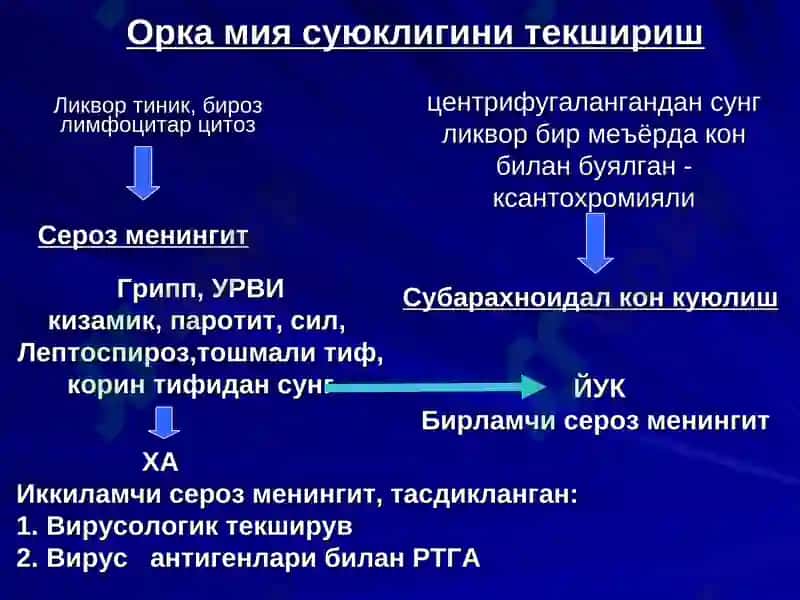 Менингит 7