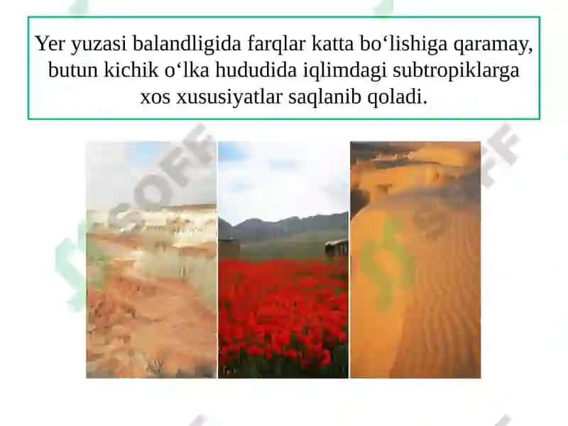 O‘RTA OSIYONING KICHIK O‘LKALARIVA TABIIY RAYONLARI 7