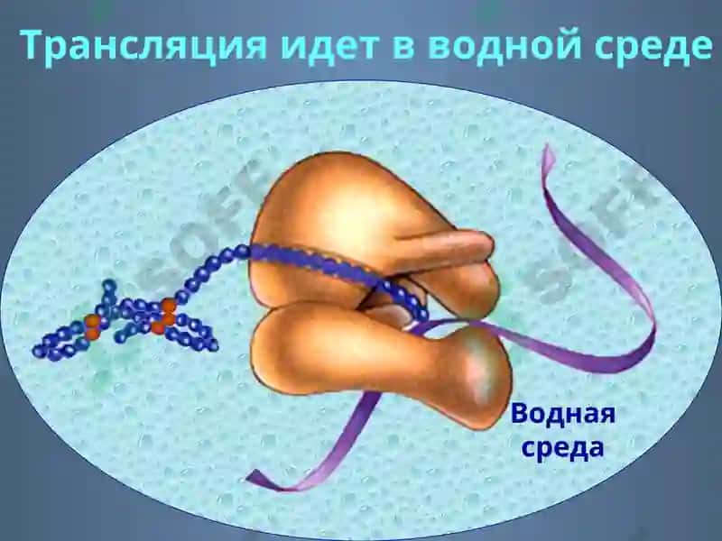 Фолдинг 7