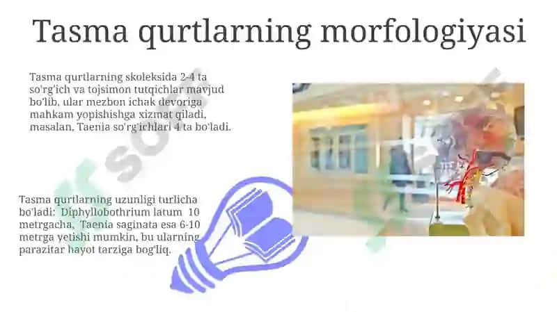 Tibbiy gelmintologiya: tasmasimon chuvachanglar 7