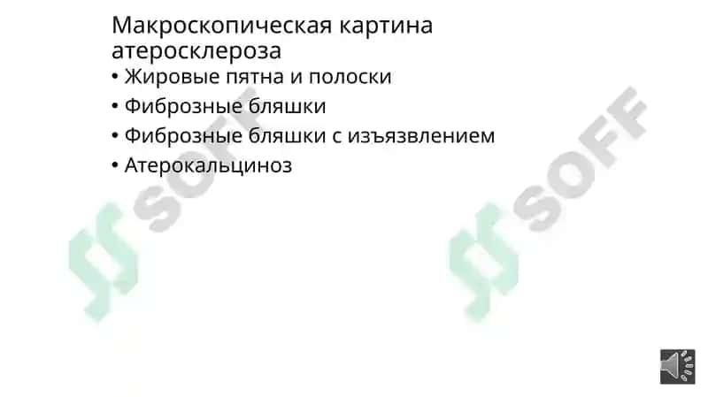 Частная патология 7