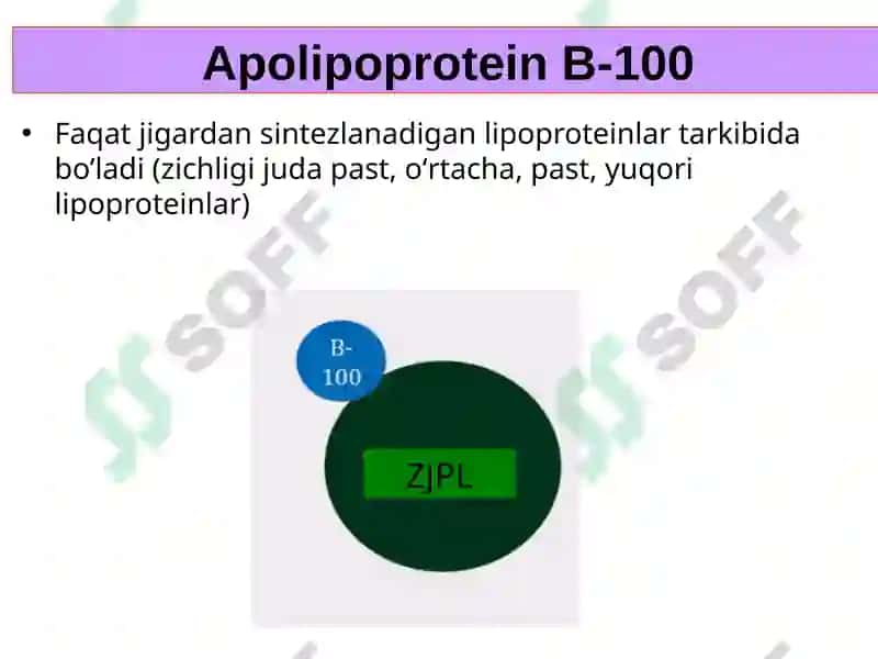 LIPIDLARNING METABOLIZMI 7
