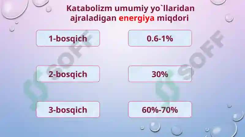 Katabolizmning umumiy  yo‘llari 7