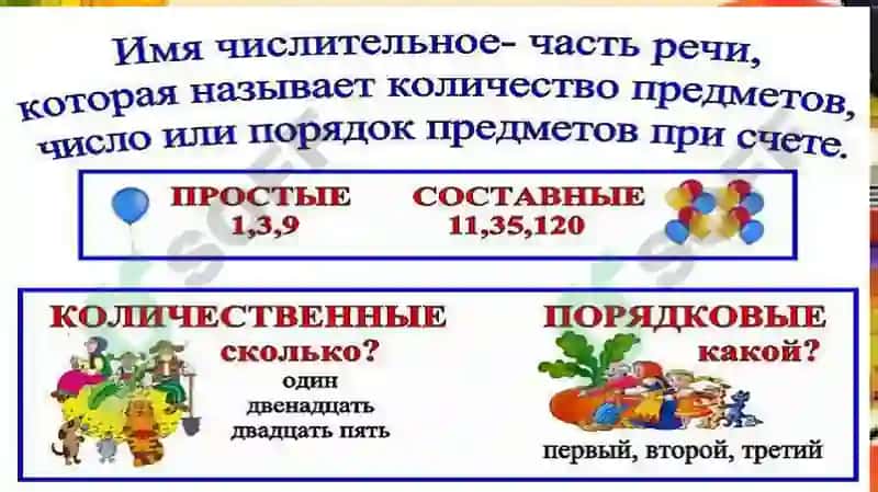 Практическое занятие 4 7