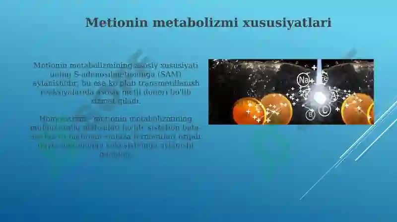 Ayrim aminokislotalar almashinuvi 7