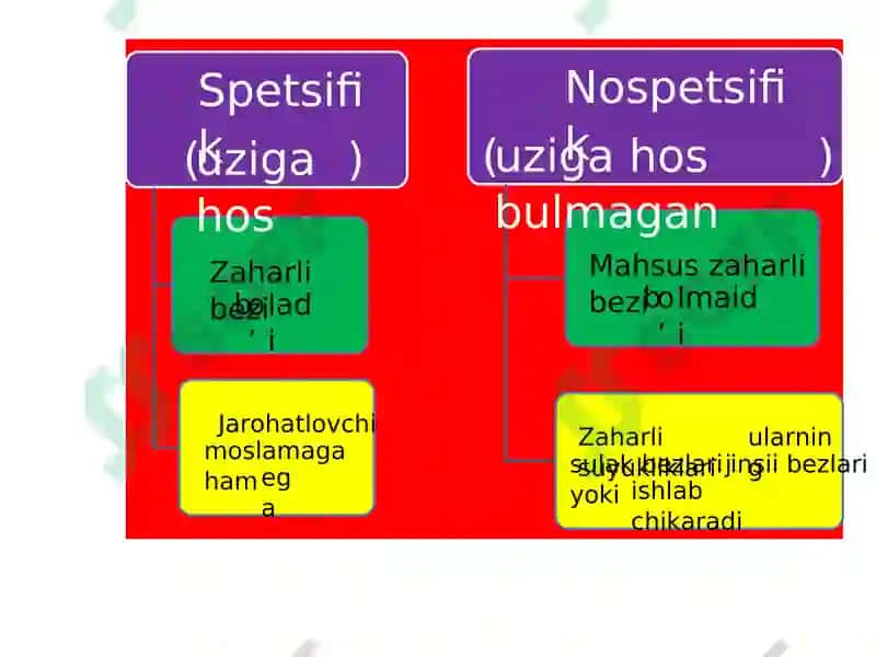 Zaharli hayvonlar 7