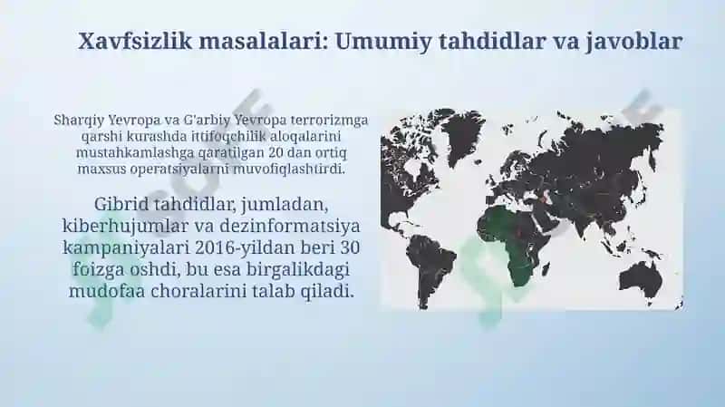 Madina 7