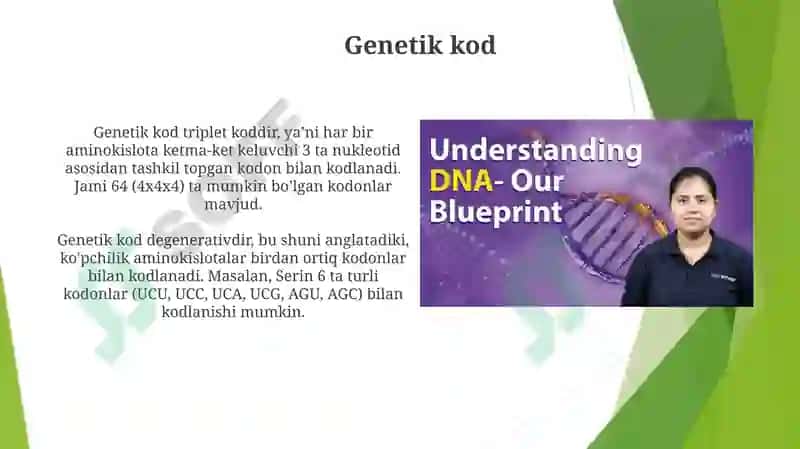 DNKstrukturasivareplikatsiyasi.Oqsilbiosintezi 7