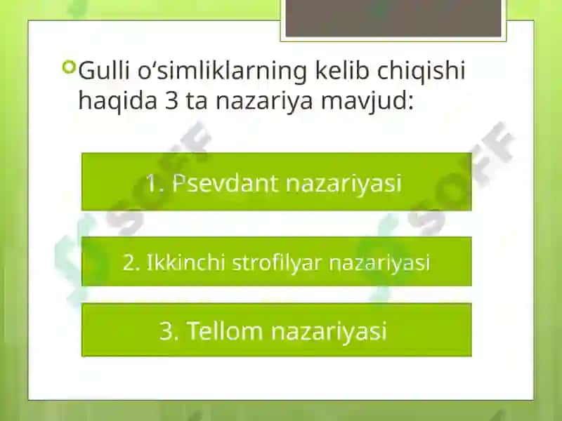 Gulli O'simliklar 7
