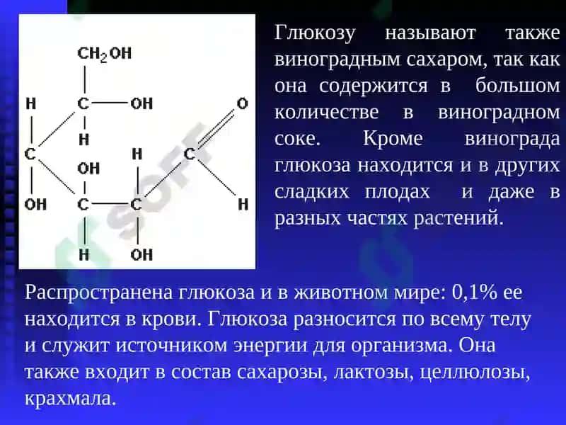 Углеводы, Химия, 10 класс 7
