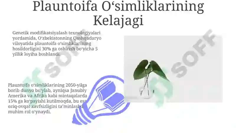 Plauntoifa o'simliklar 7