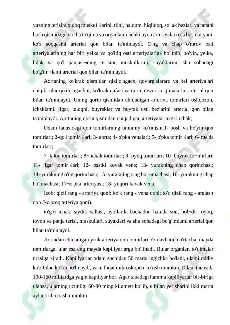YURAK QON TOMIR GISTOLOGIYASI 7