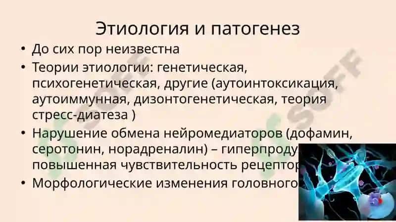 Шизофрения 7