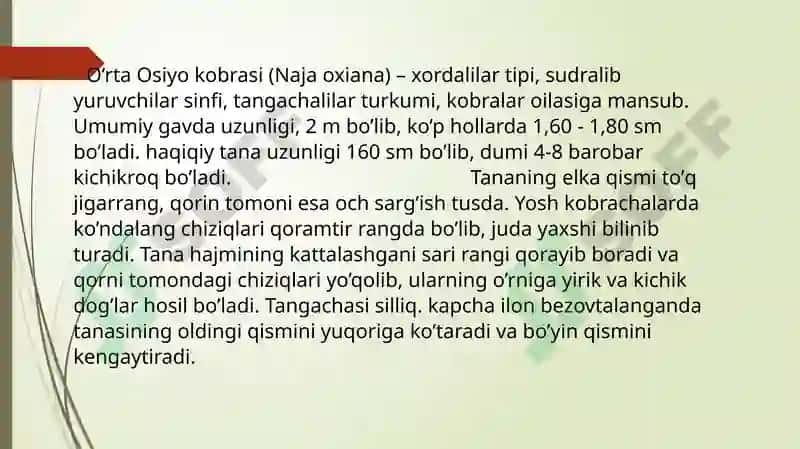 Sudralib yuruvchilar (Reptilia) sinfi 7