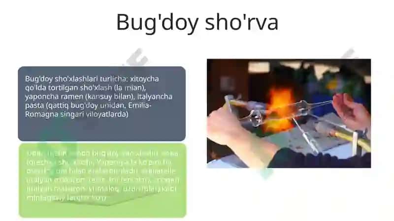 Maxsus Koshka Texnologiyalari 7