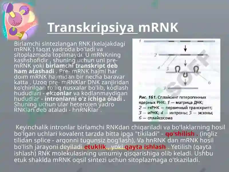 Oqsillar biosintezi 7
