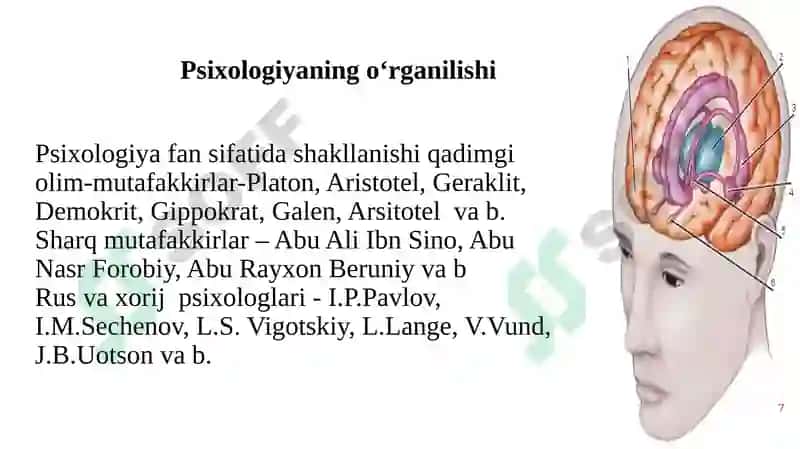 UMUMIY PSIXOLOGIYA 7